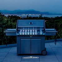 Napoleon Prestige PRO