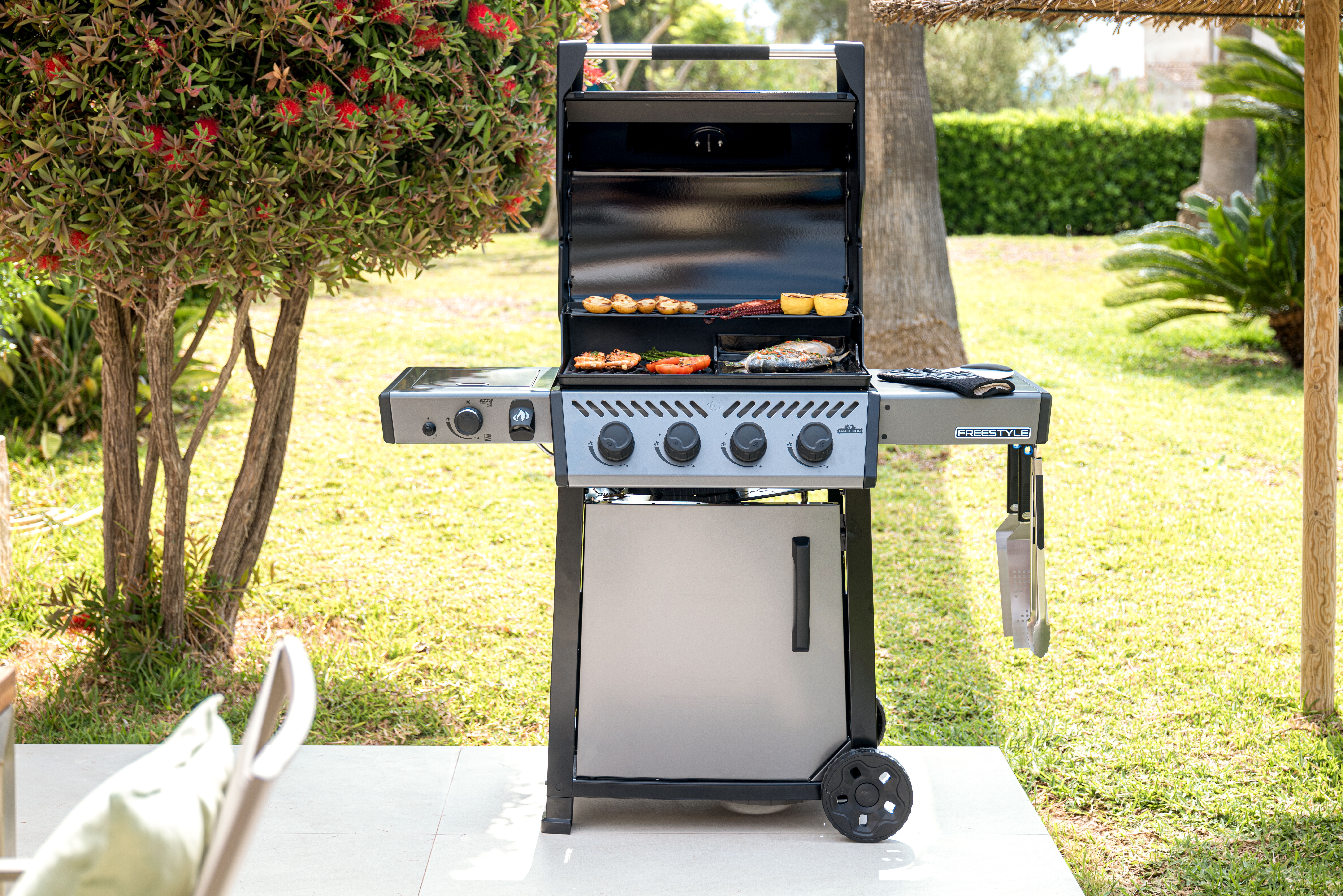 Original JPG Freestyle425dsib With Food1