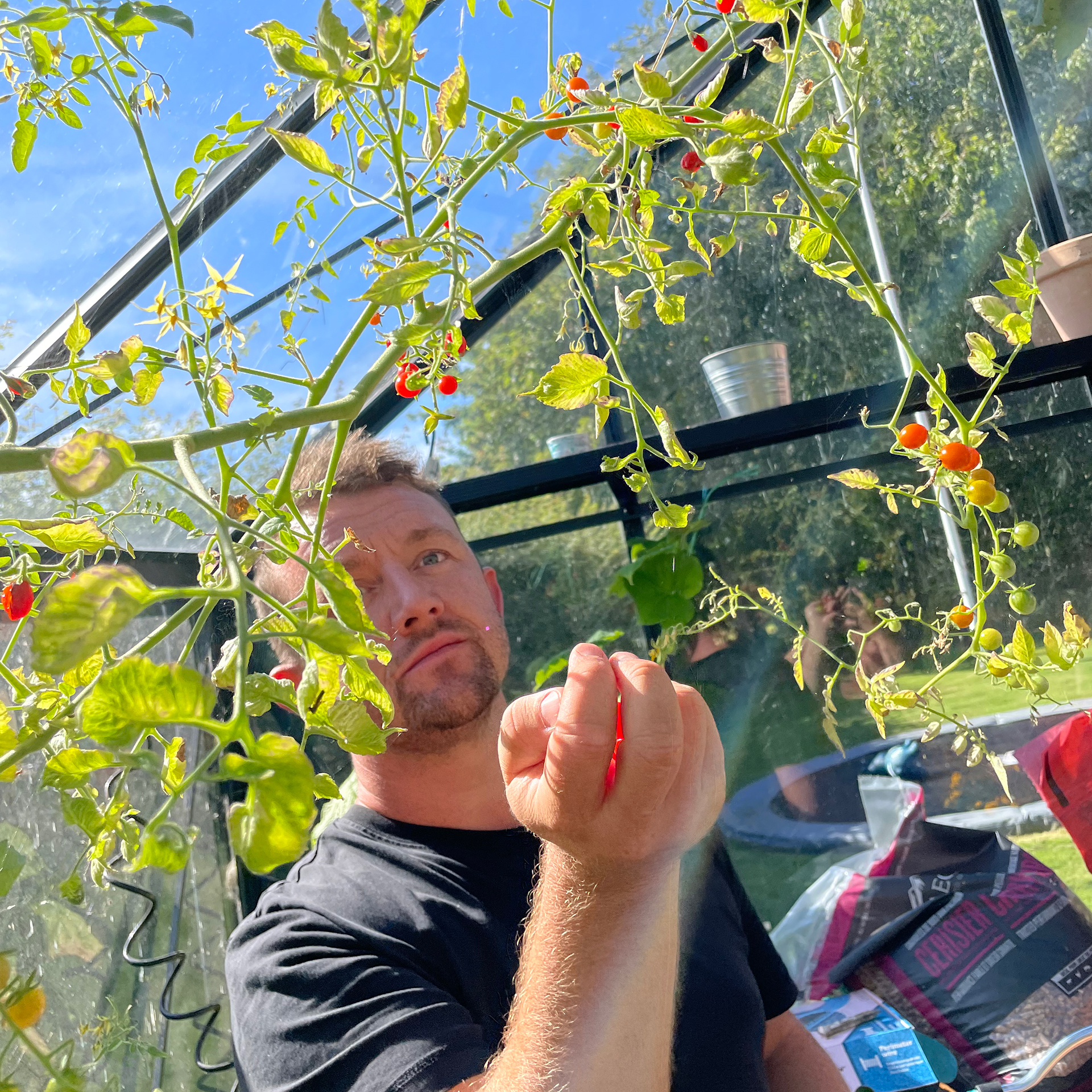 Mads Niemann I Drivhuset