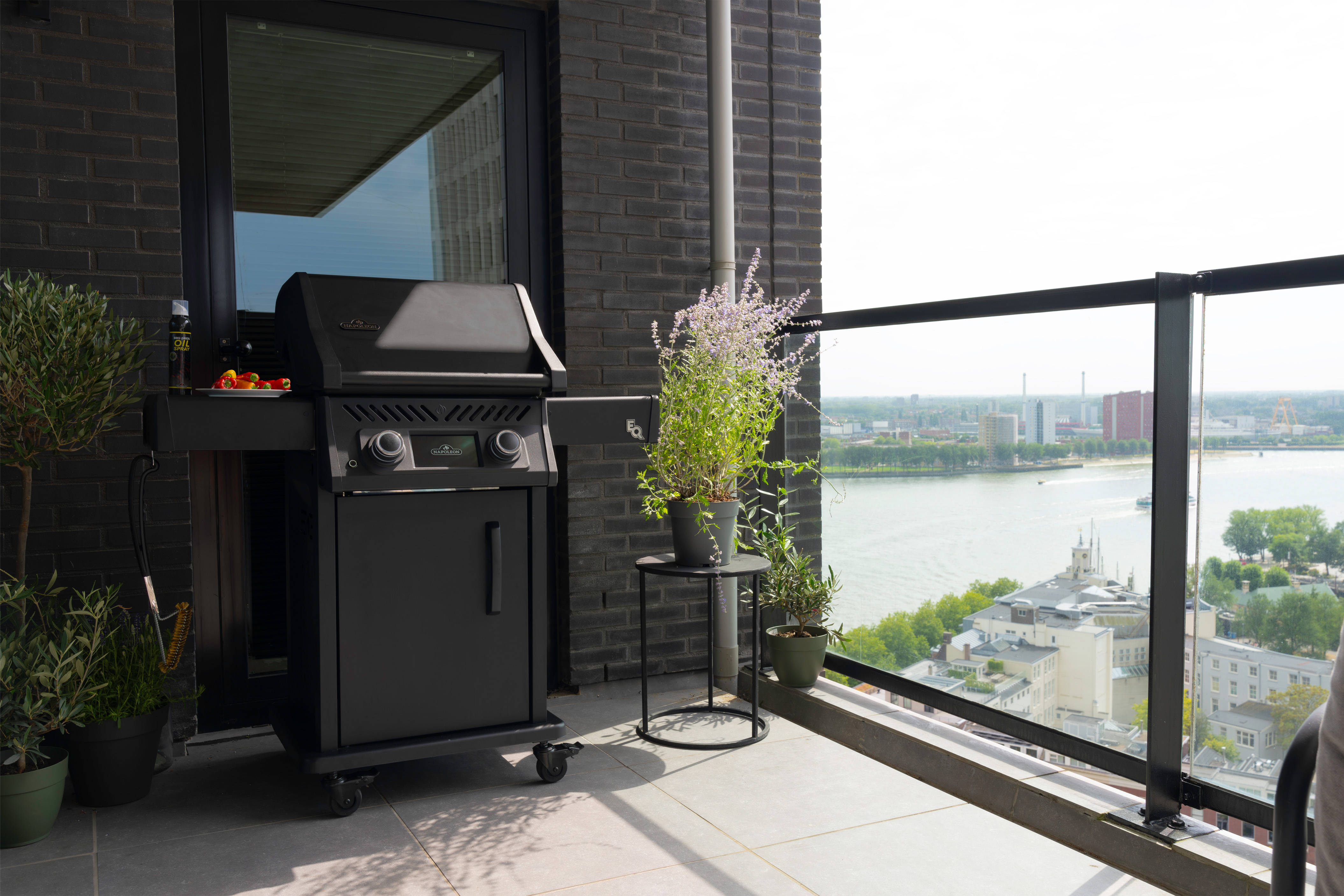 Rogueeq Withoutpeople5 (1)