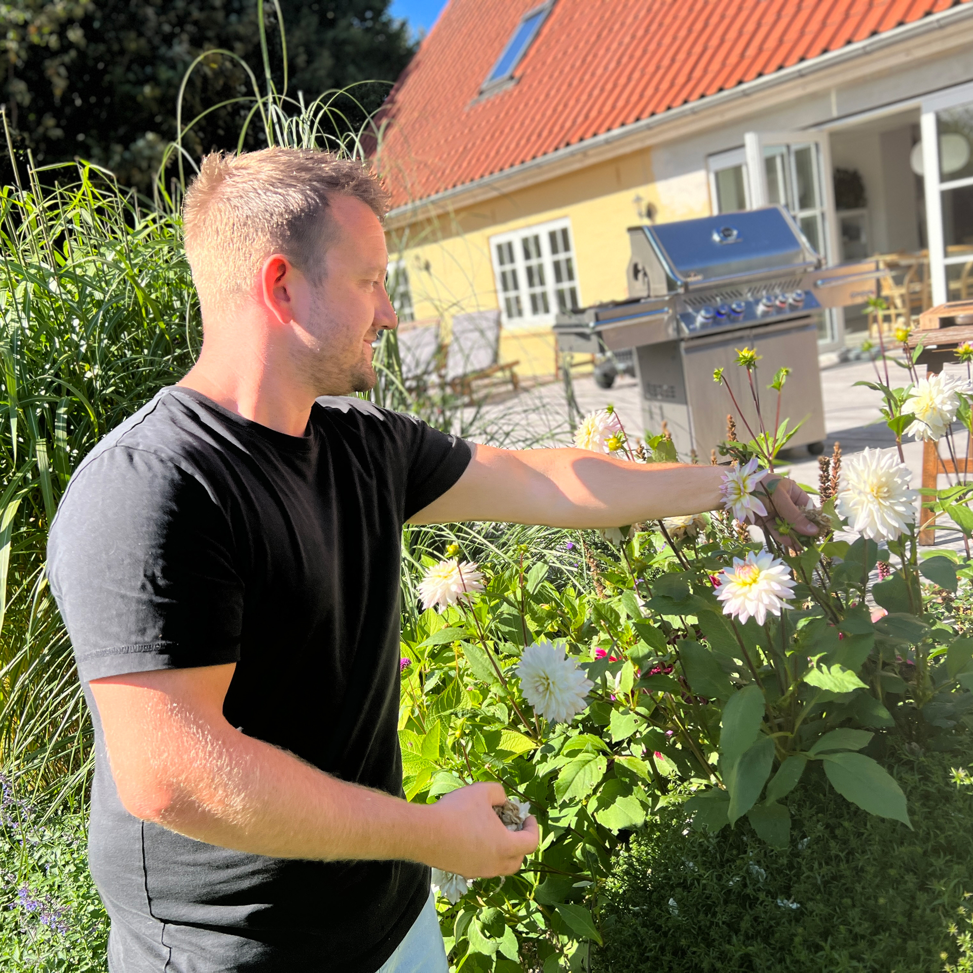 Mads Niemann I Havent