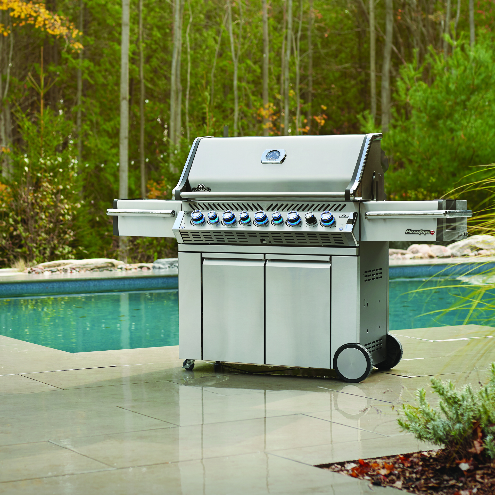 Napoleon Prestige PRO665 PRO665RSIBPSS 3 Lifestyle 1