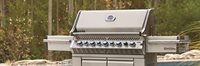 Napoleon Prestige PRO665 PRO665RSIBPSS 3 Lifestyle 1