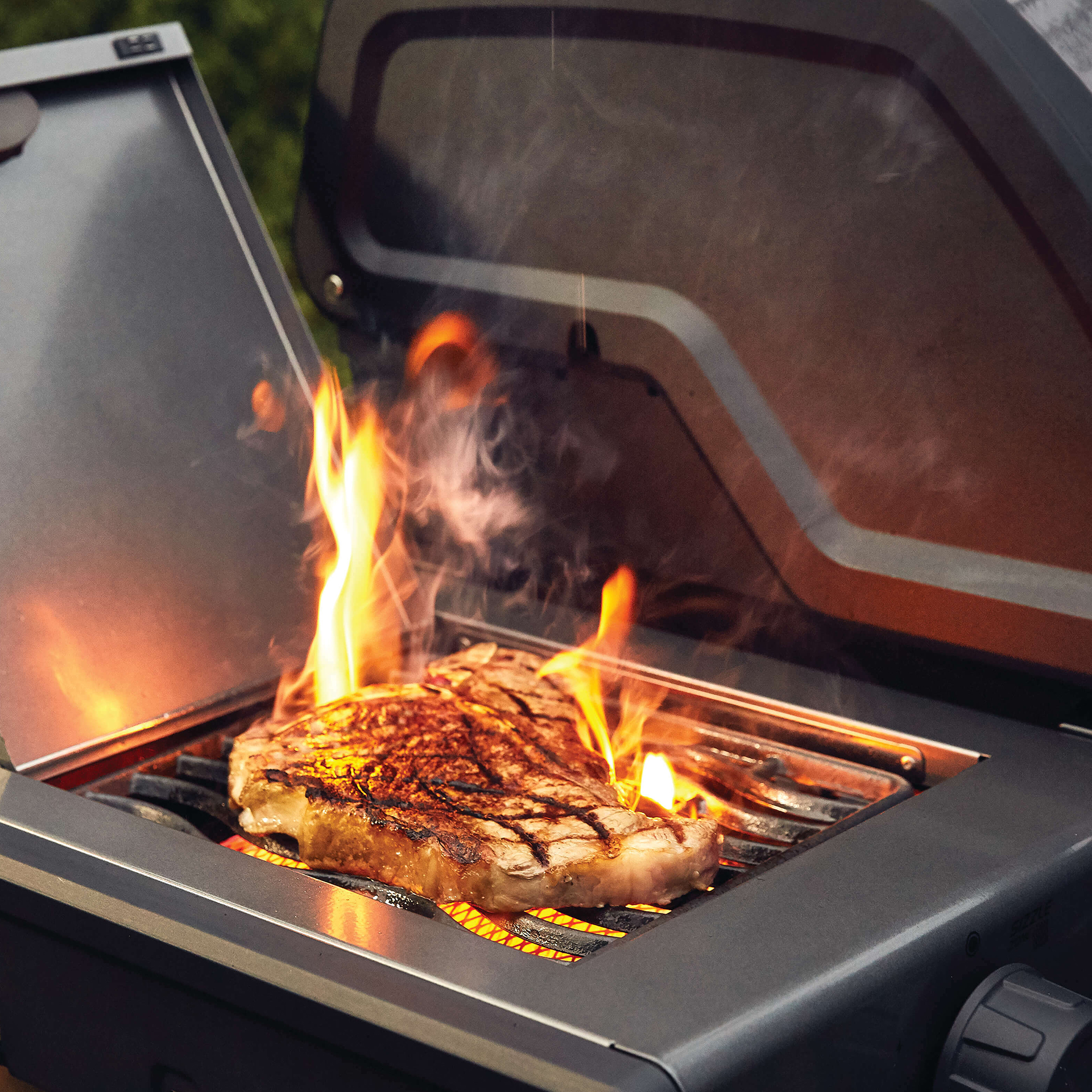 Freestyle F425SIBGT DE Life 53