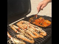 Jomfruhummerhaler Med Cognac Og Groent I Sizzle Pande Opskrift Gasgrill 4 3618