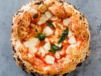 Pizza Margherita Opskrift Gozney