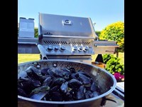 Moules Marinéres, Blaamuslinger I Floede Og Hvidvinssauce Opskrift Gasgrill 1 3632