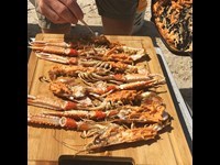 Jomfruhummerhaler Med Cognac Og Groent I Sizzle Pande Opskrift Gasgrill 5 3618