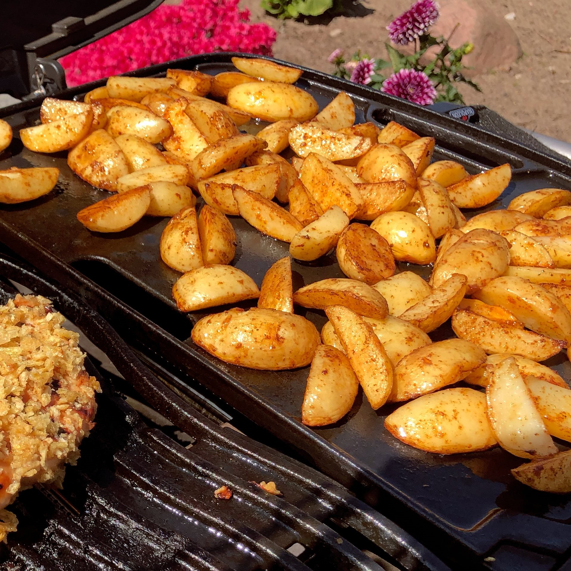 Globus Ubarmhjertig pulsåre Råstegte kartofler - Backyard Living