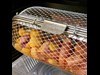 Kamsteg Chunks Med Kartofler Og Roedloeg I Rotisserikurv Opskrift Gasgrill 3 3726